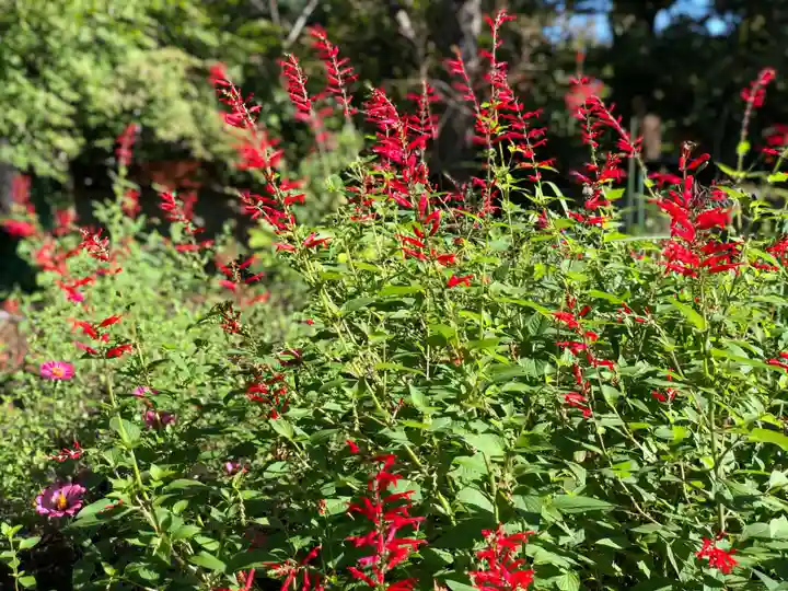 木舟山 順教寺の自然