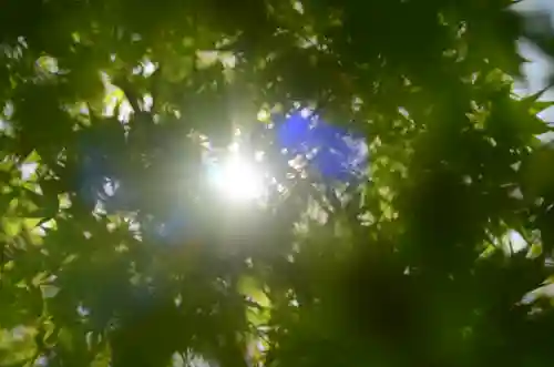  智積院(京都府)