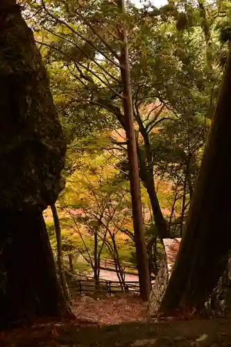 星谷寺(徳島県)
