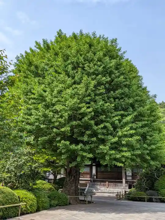 高円寺(東京都)