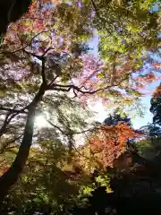 談山神社の自然