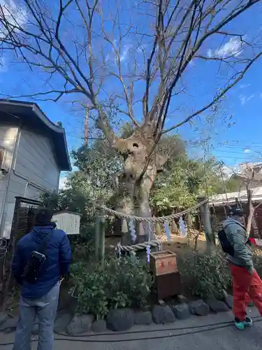 溝口神社(神奈川県)