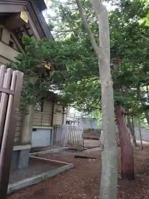 江別神社の本殿・本堂