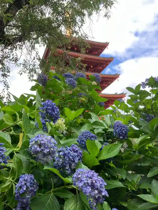 高幡不動尊 金剛寺(東京都)