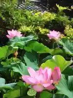 長善寺(東京都)