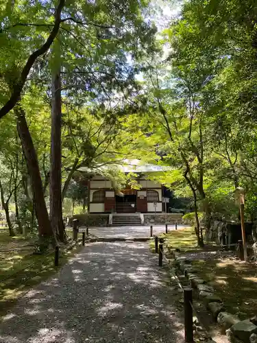 地蔵院(京都府)