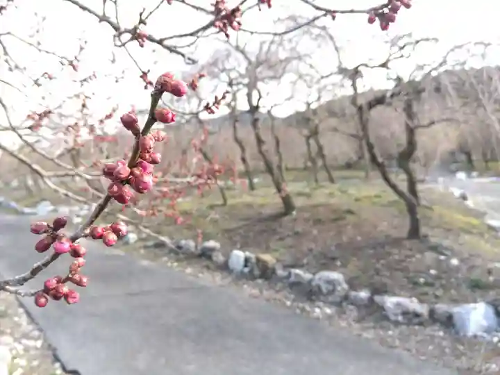 竜雲寺(三重県)