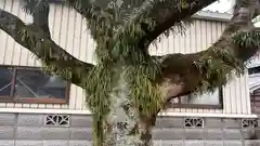 荒神社(徳島県)