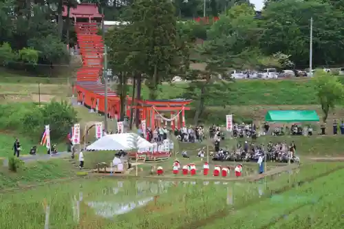 高屋敷稲荷神社のお祭り