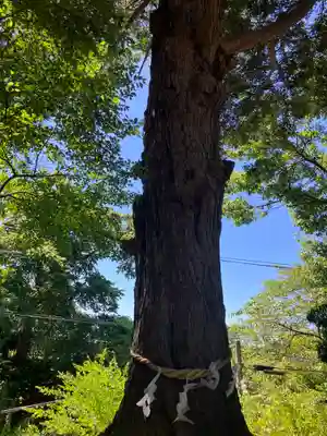 花巻神社(岩手県)