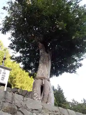 夫婦木神社のその他建物