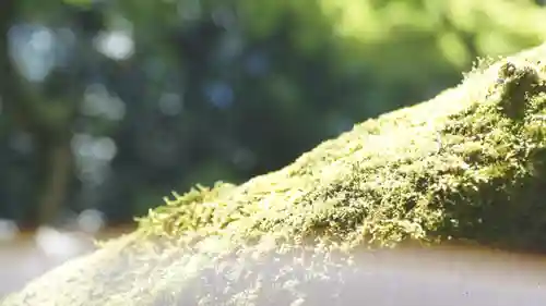 詩仙堂（丈山寺）(京都府)