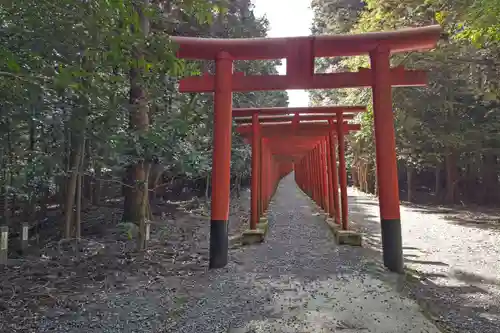 南宮稲荷大明神の鳥居