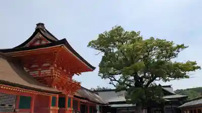 宇佐神宮の本殿・本堂