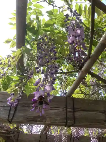 田縣神社の自然