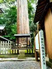 事任八幡宮の自然