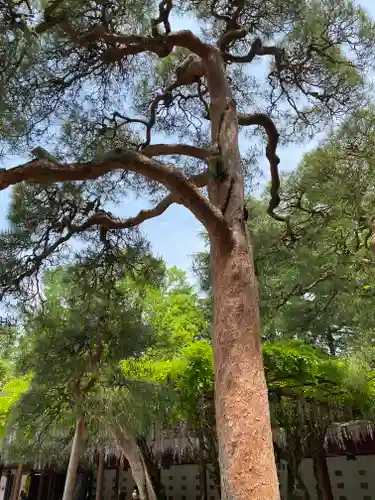 笠間稲荷神社の自然