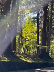 日光二荒山神社の周辺