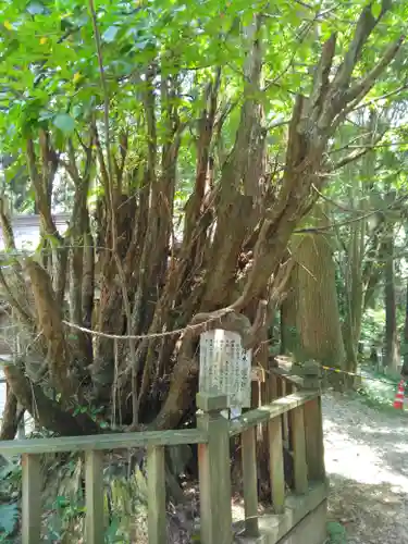幣立神宮(熊本県)