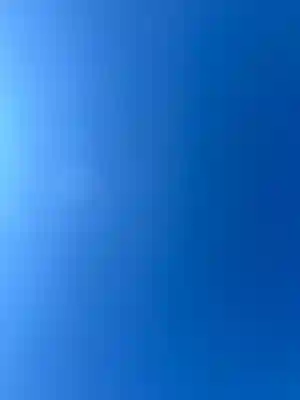 朝日氷川神社(埼玉県)