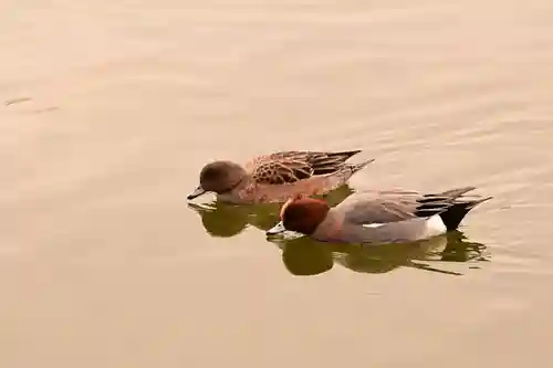 吉備津神社(広島県)