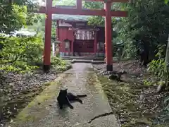 阿志都彌神社・行過天満宮の動物