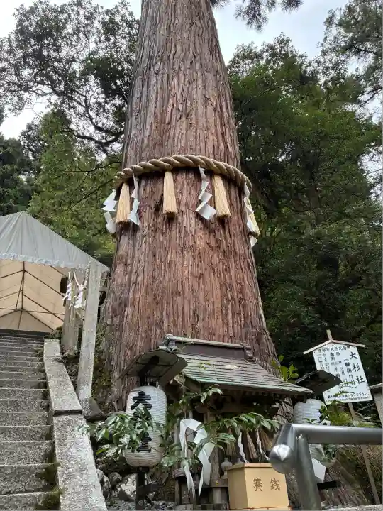由岐神社(京都府)