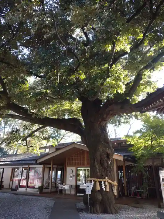 座間神社の自然