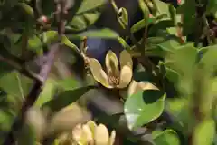 阿邪訶根神社の自然