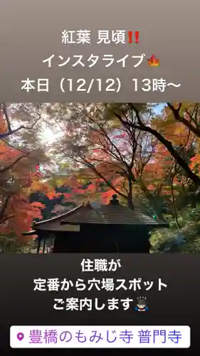 普門寺(切り絵御朱印発祥の寺)(愛知県)