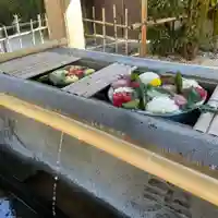 上野東照宮の手水舎