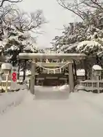 新琴似神社の初詣