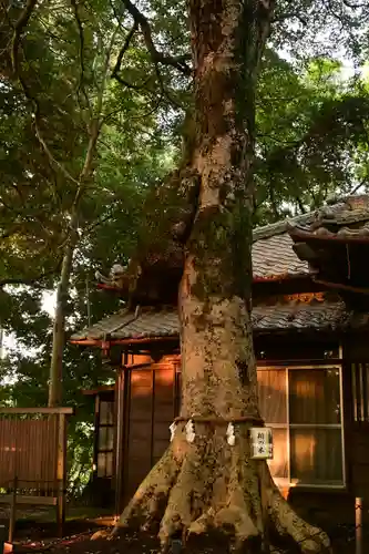 氷川女體神社(埼玉県)