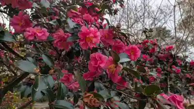 半木神社（賀茂別雷神社境外末社）(京都府)