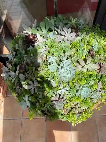 姫坂神社(愛媛県)