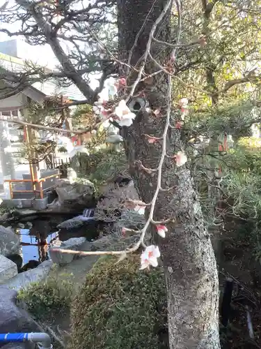 尾張猿田彦神社(愛知県)