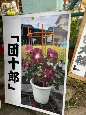 真源寺（入谷鬼子母神）(東京都)