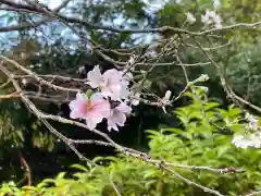 大生郷天満宮の自然