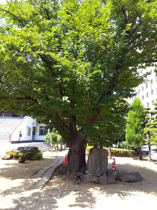 霊雲寺(東京都)