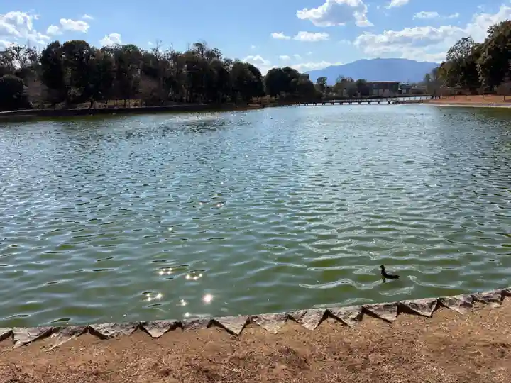 長山稲荷社(橿原神宮末社)の自然