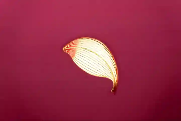 伊勢の国 四天王寺(三重県)