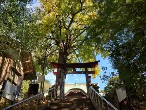 下総国三山　二宮神社の鳥居