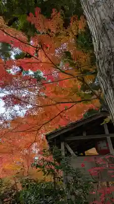 長岡天満宮(京都府)