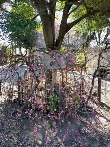 牛天神北野神社(東京都)