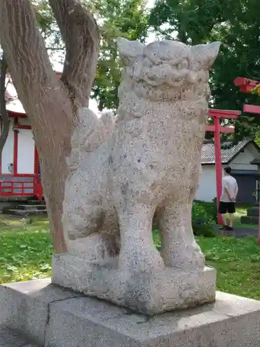 空知神社の狛犬