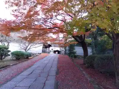 養源院(京都府)