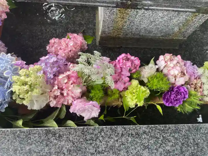 新琴似神社の手水舎