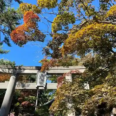 彌彦神社　(伊夜日子神社)の鳥居