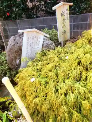 須賀神社（成宗）(東京都)