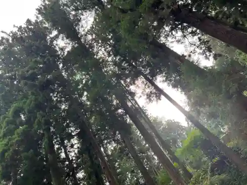 大宮温泉神社の自然